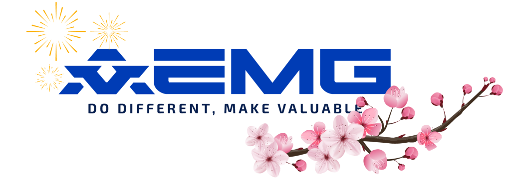 Công ty Cổ phần quốc tế AEMG
