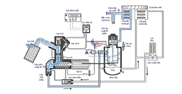 Công ty Cổ phần quốc tế AEMG