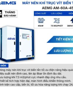 May nen khi truc vit bien tan AM 60A