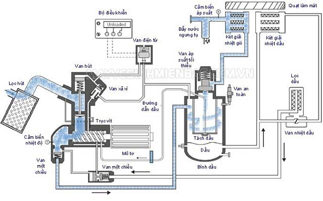Công ty Cổ phần quốc tế AEMG
