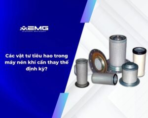 Bat dau lam tu trang nay 3