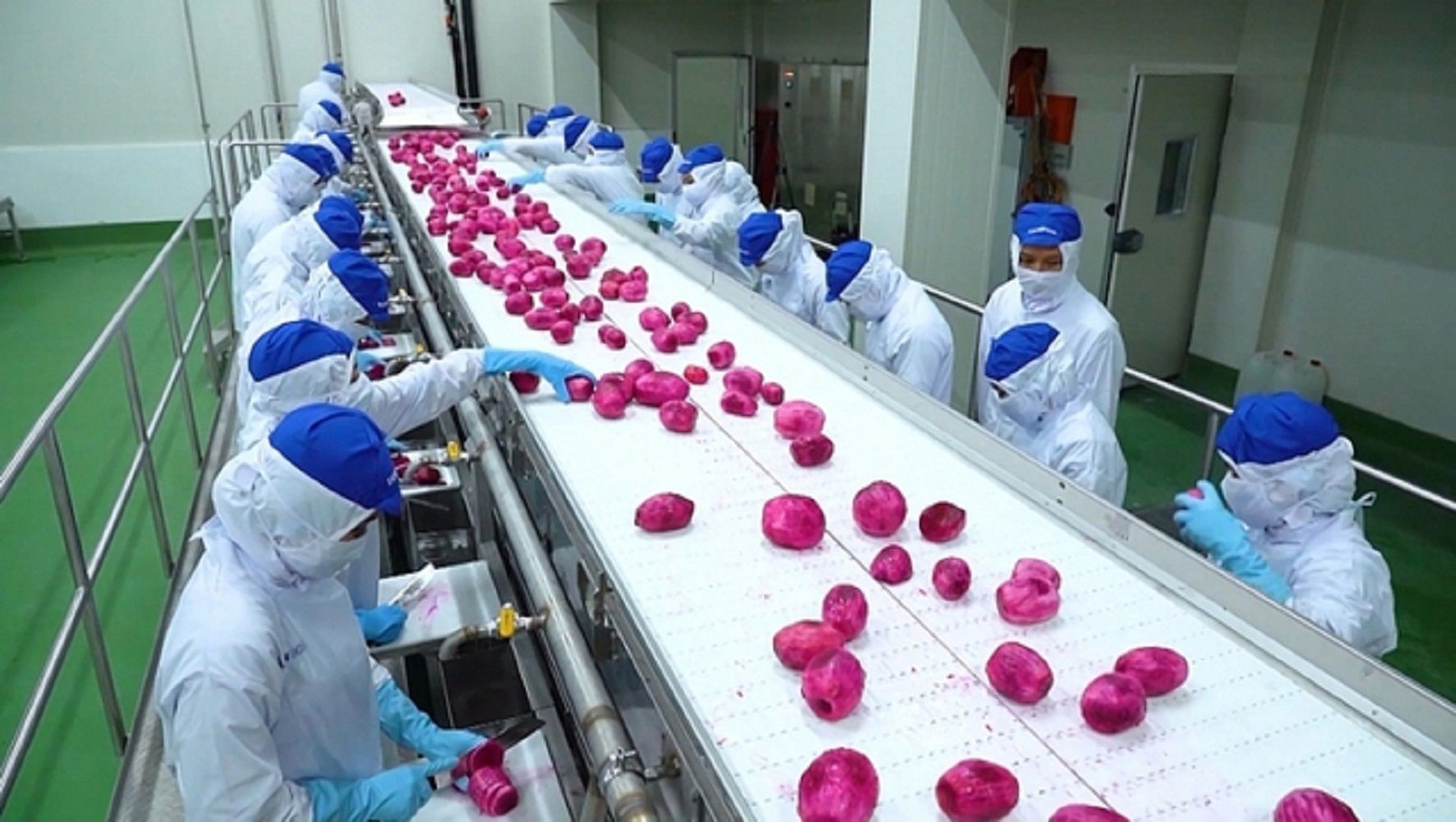 Hệ thống khí nén đóng vai trò quan trọng cho nhà máy sản xuất & chế biến nông sản